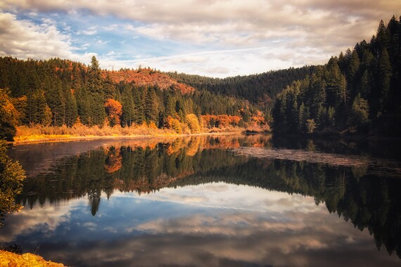 Pit Four Reflections (Metal Panel) Pit 4 Reservoir along the Pit River in the Fall