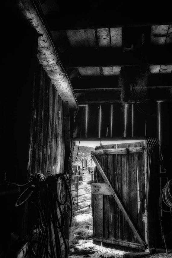 Did You Grow up in a Barn (Metal Panel) looking out an open barn door in black and white