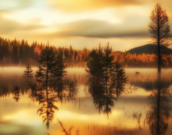 Visions of Gold (prints) long exposure photograph Dry Lake reflections on the water