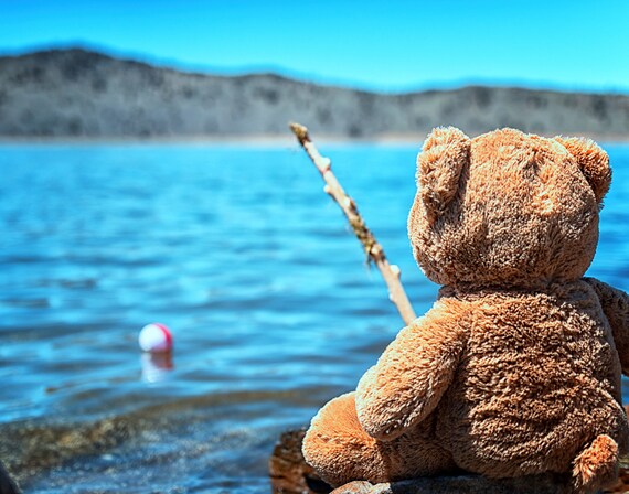 Waiting for Walter (prints) just a teddy bear fishing with his pole and bobber