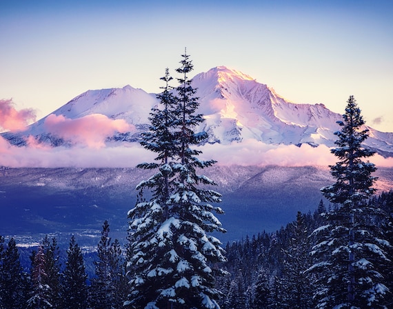 A Glorious Beginning (Prints) a sunrise on Mt. Shasta with snow covered trees