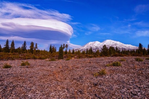 Lenticular Love (Metal Panel) Mount Shasta and a Lenticular Cloud