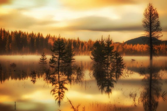 Visions of Gold (Metal Panel) long exposure photograph of Dry Lake with reflections on the water