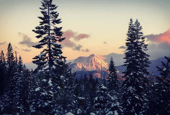 In the Spotlight (Metal Panel) a sunrise on Black Butte with snow on the trees