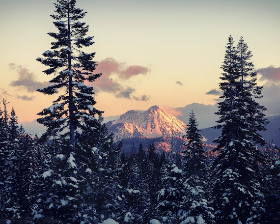 In the Spotlight (Prints) a sunrise on Black Butte with snow covered trees