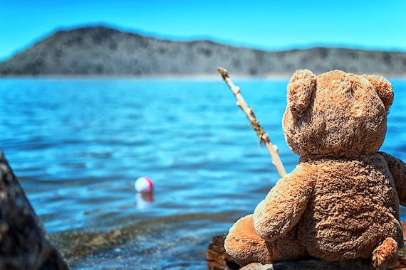 Waiting for Walter (CANVAS) just a teddy bear fishing at the lake