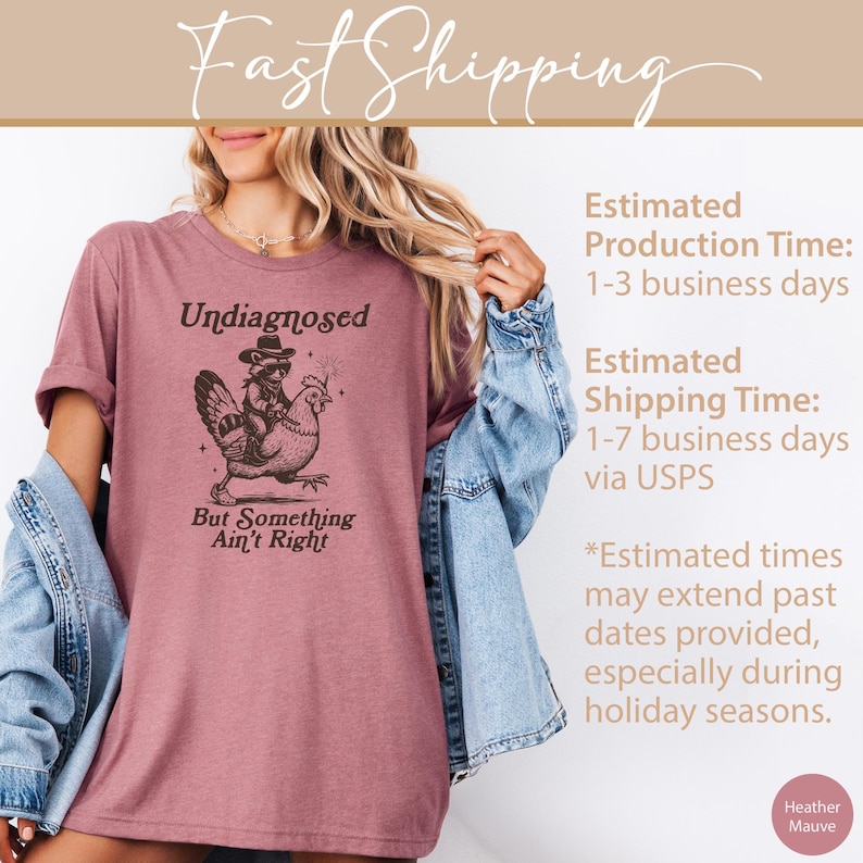 May include: Heather mauve t-shirt with the text "Undiagnosed But Something Ain't Right". The graphic features a raccoon wearing a hat riding a chicken. The shirt is a relaxed fit.