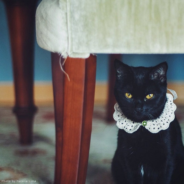Peter pan cat crochet collar with safety buckle - pearl cotton yarn - black velvet ribbon