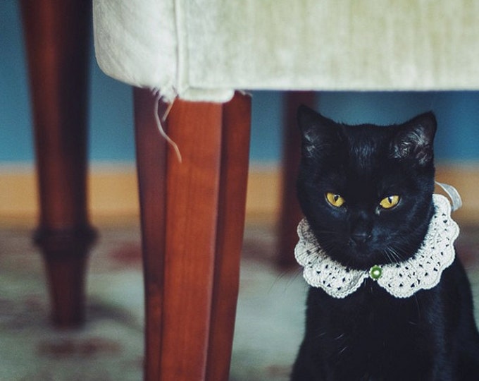 Peter Pan Cat Crochet Collar With Safety Buckle Pearl Cotton Etsy