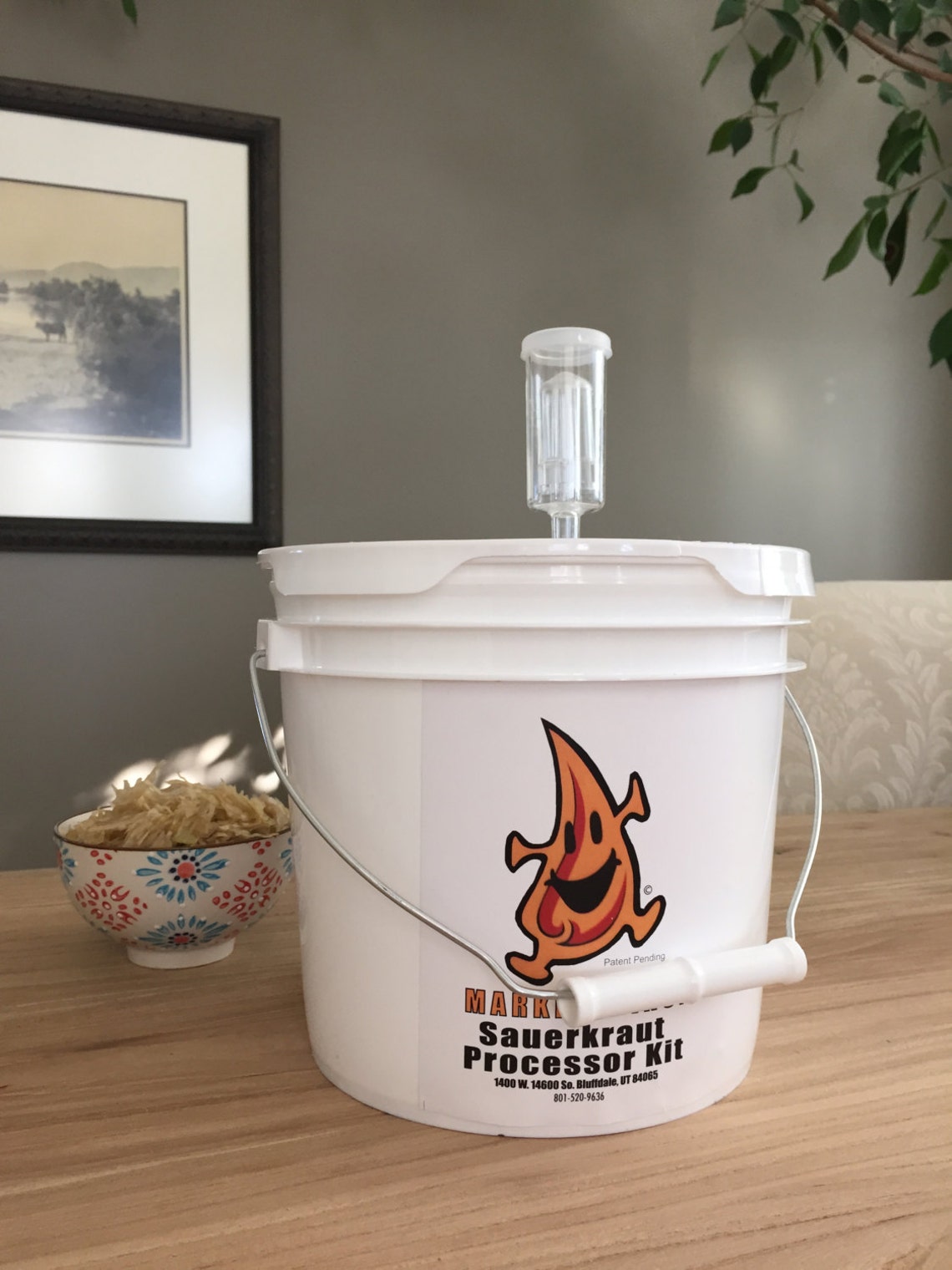 Mini DIY Raw Sauerkraut Processor Kit Sauerkraut Making Kit Etsy