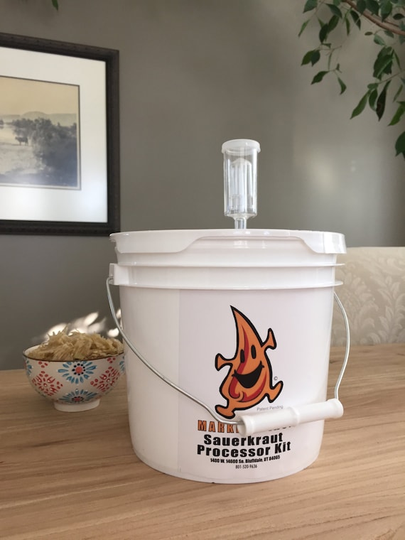 Mini DIY Raw Sauerkraut Processor Kit Sauerkraut Making Kit Etsy