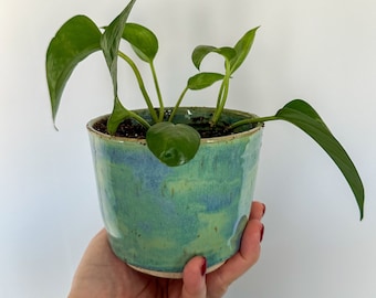 May include: A small, ceramic plant pot with a turquoise and blue glaze, holding a green leafy plant. The pot has a rounded shape and a textured surface. The plant has several green leaves and stems.