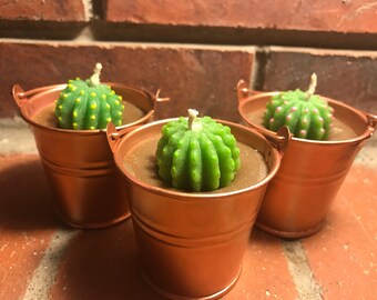 Cactus Candles (set of 3)