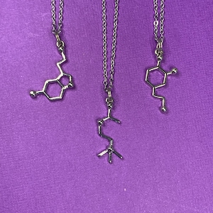 Science Jewelry - Neurotransmitter Molecule Necklace on Stainless Steel Chain: Serotonin, Dopamine, or Acetylcholine Charm - Free Shipping
