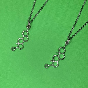 Science Jewelry: Neurotransmitter or Hormone Molecule Necklace with Estrogen or Testosterone Charm on Stainless Steel Chain - Free Shipping