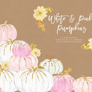 K&ouml;nnte beinhalten: Eine Illustration mit wei&szlig;en, rosa und lavendelfarbenen K&uuml;rbissen, die mit goldenem Glitzer und floralen Elementen verziert sind. Der Text "White & Pink Pumpkins" ist in eleganter Schrift dargestellt, mit zus&auml;tzlichem Text darunter.