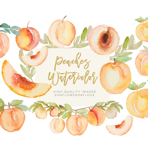 Art & Collectibles Clip Art Peach Clipart Watercolor Peaches Branch ...