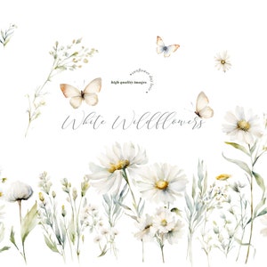 Clipart di farfalle di fiori selvatici di margherite ad acquerello, elegante clipart di farfalle bianche, bouquet di fiori bianchi, cornice geometrica prefabbricata per matrimonio