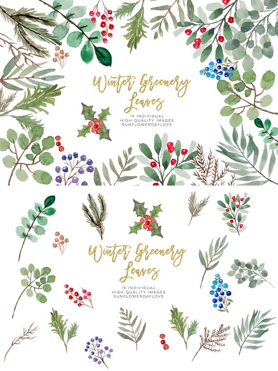 Winter Greenery Leaves Clipart, Winter Greenery Clip Art, Christmas Leaves,  Berries, Holly Watercolor Clipart Eucalyptus Mistletoe Clipart 
