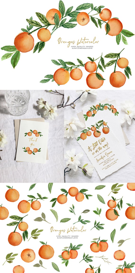 Orange Grove Clipart