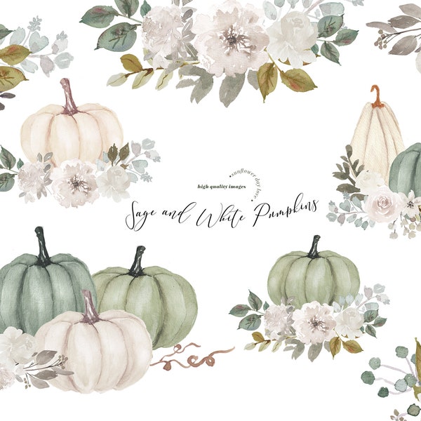 Arrangements modernes sauge et blanc citrouilles aquarelle clipart, clipart numérique citrouille, verdure automne feuilles florales clipart