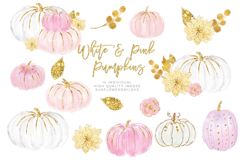 K&ouml;nnte beinhalten: Aquarellillustrationen von wei&szlig;en und rosa K&uuml;rbissen mit goldenen Glitzerakzenten und Blumenarrangements. Der Text "White & Pink Pumpkins" ist in goldener Schrift dargestellt. Zus&auml;tzliche Elemente sind goldene Bl&auml;tter und Blumen.