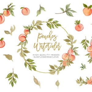 Pfirsiche Aquarell Elemente Clipart, Pfirsich Früchte, Pfirsichblätter, Pfirsichkränze Sommer, Brautparty, Babyparty, Grün Illustration