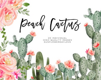Clipart aquarelle pêche succulente, clipart fleur de cactus, cactus botanique, paquet de fleurs tropicales, clipart cactus aquarelle floral