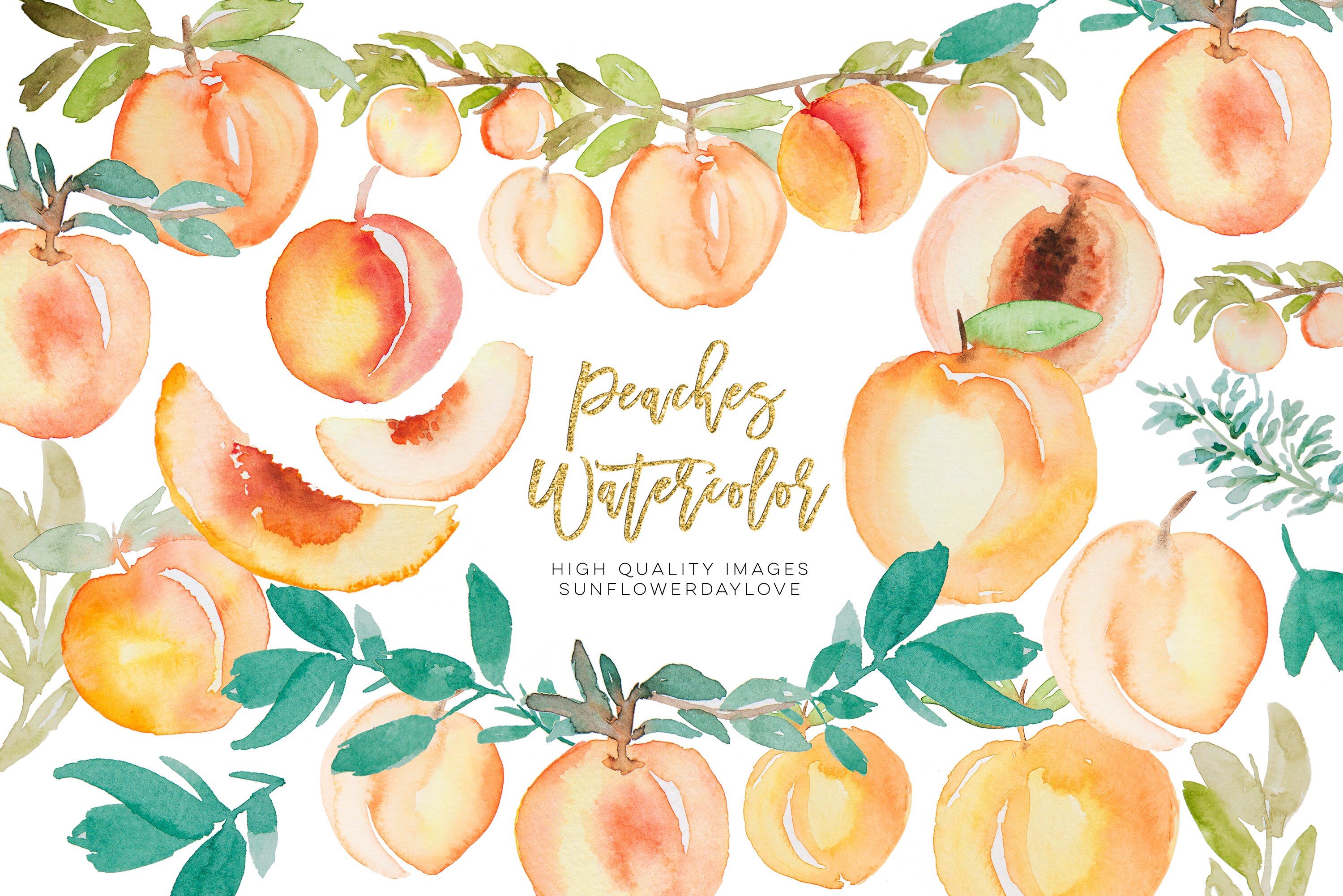 Greenery Peaches Watercolor Clipart Summer Peaches Clipart | Etsy