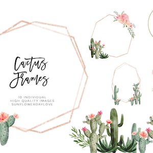 Cornici di cactus succulenti, bordure di succulente, cornici di succulente dipinte a mano, download immediato di cactus di acquerello, clipart di cactus, floreali