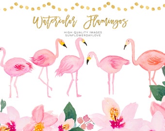 Tropical Watercolor Clipart, Pink Tropical Clipart, Flamingo Watercolor image, Tropical Flowers Clipart, Summer Flower Watercolor scrapbook