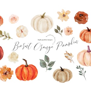 Burnt Orange Pumpkin clipart, Pumpkin watercolor clipart, Fall Autumn Orange Pumpkins Boho Floral Leaves, Greenery Pumpkin Digital Clip art