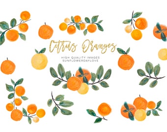 Orange Clip Art, Oranges Clipart, Fruits Floral Border,  Modern Fruit Clip Art, Citrus Fruit Graphic, orange cutie invite, bridal shower