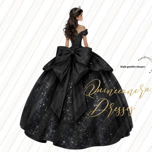 black and silver quince dress Rachel Allan Quince RQ3117 Dress
