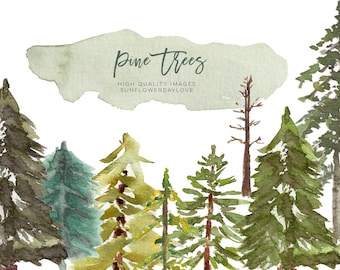 Watercolor Pine Tree Clipart, Fir Evergreen tree clipart, Hand Painted Tree Illustration, Winter Christmas trees, Baby shower invitation