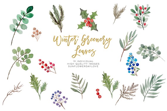 Watercolor Christmas Greenery Clipart / Winter Greenery / Ho - Inspire  Uplift