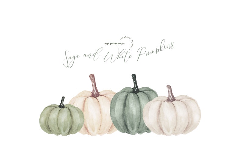 Elegant Sage and White Pumpkins Clipart Watercolor Fall - Etsy