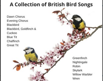 British Birdsong CD. Individual Birds+Groups Bring the Outside In + FREE MP3