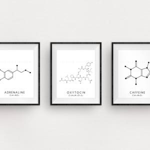 Molecule Printable Art Set 3 Caffeine, Oxytocin & Adrenaline Digital Print Molecular Structure Chemistry Printable Instant Download image 1