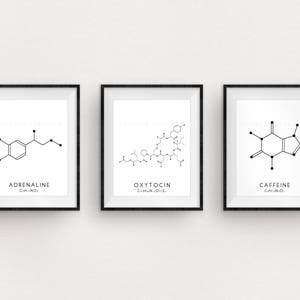 Molecule Printable Art Set - 3 Caffeine, Oxytocin & Adrenaline Digital Print - Molecular Structure Chemistry Printable - Instant Download