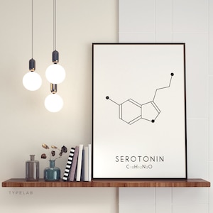 May include: A black and white minimalist print of the chemical structure of serotonin with the text "SEROTONIN C10H12N2O" below the structure. The print is framed and hanging on a white wall above a shelf with books and vases.