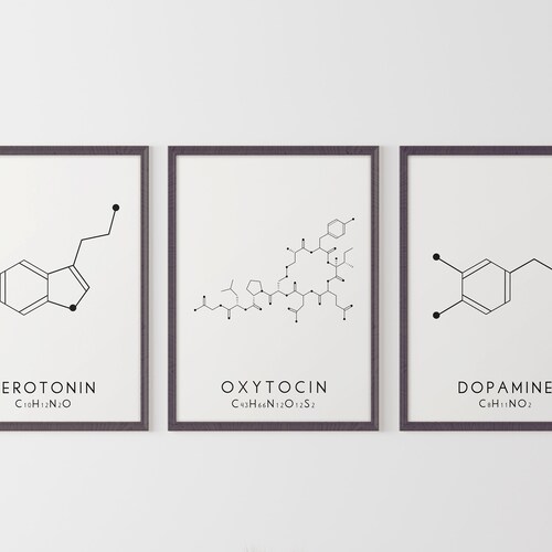 Molecule Printable Art Set 3 Serotonin Oxytocin Dopamine Etsy