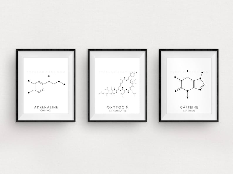 scaricare typelab 2