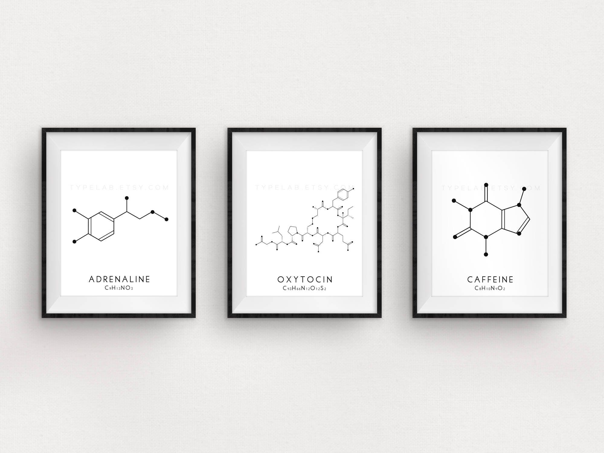 3 Caffeine Instant Download Molecule Printable Art Set Scandinavian Minimalist Printable Oxytocin & Adrenaline Digital Print