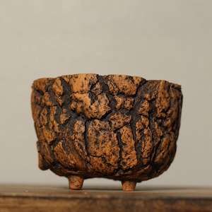 Puede incluir: Una pequeña maceta de cerámica marrón con una superficie texturizada que se asemeja a la corteza de un árbol. La maceta tiene tres patas y está sentada sobre una superficie de madera.