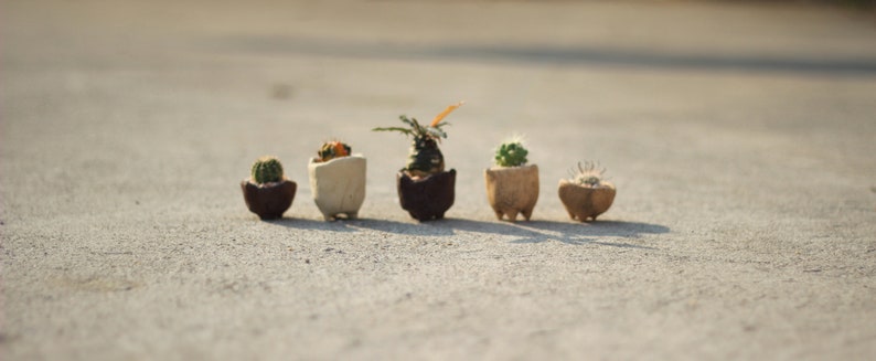 Ceramic Pot rustic Rock planter Bonsai pots Containers Wood bark texture PM021 Vintage planter