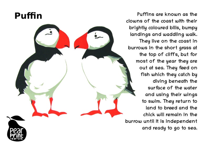 Organic cotton baby sleepsuit with puffins Pyjamas Baby boy or baby girl gift. Baby grow