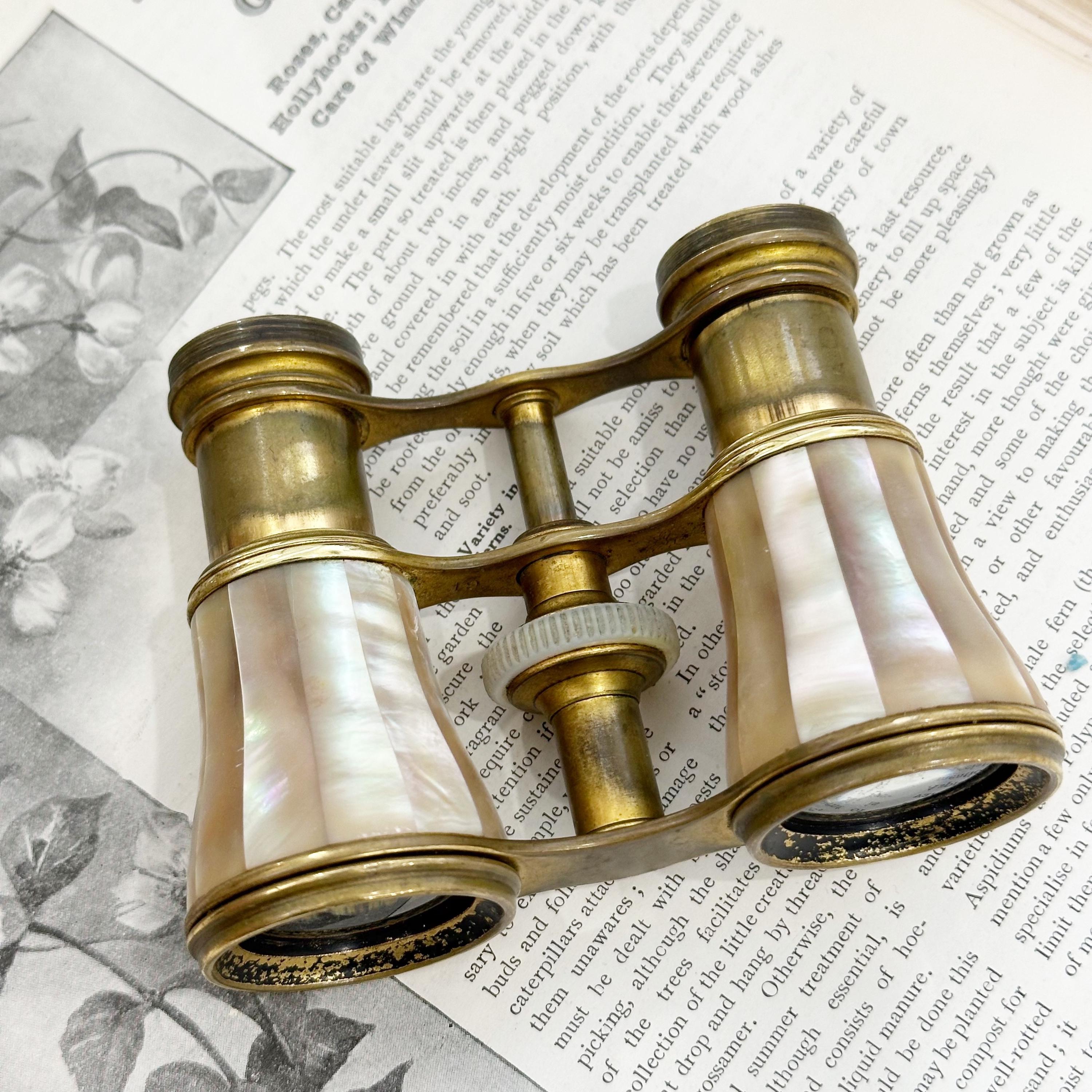 Antique Mother-of-pearl and Brass 12 Verres France Opera 