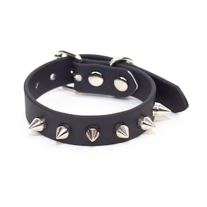 May include: A black leather dog collar with silver metal studs and a buckle fastening.