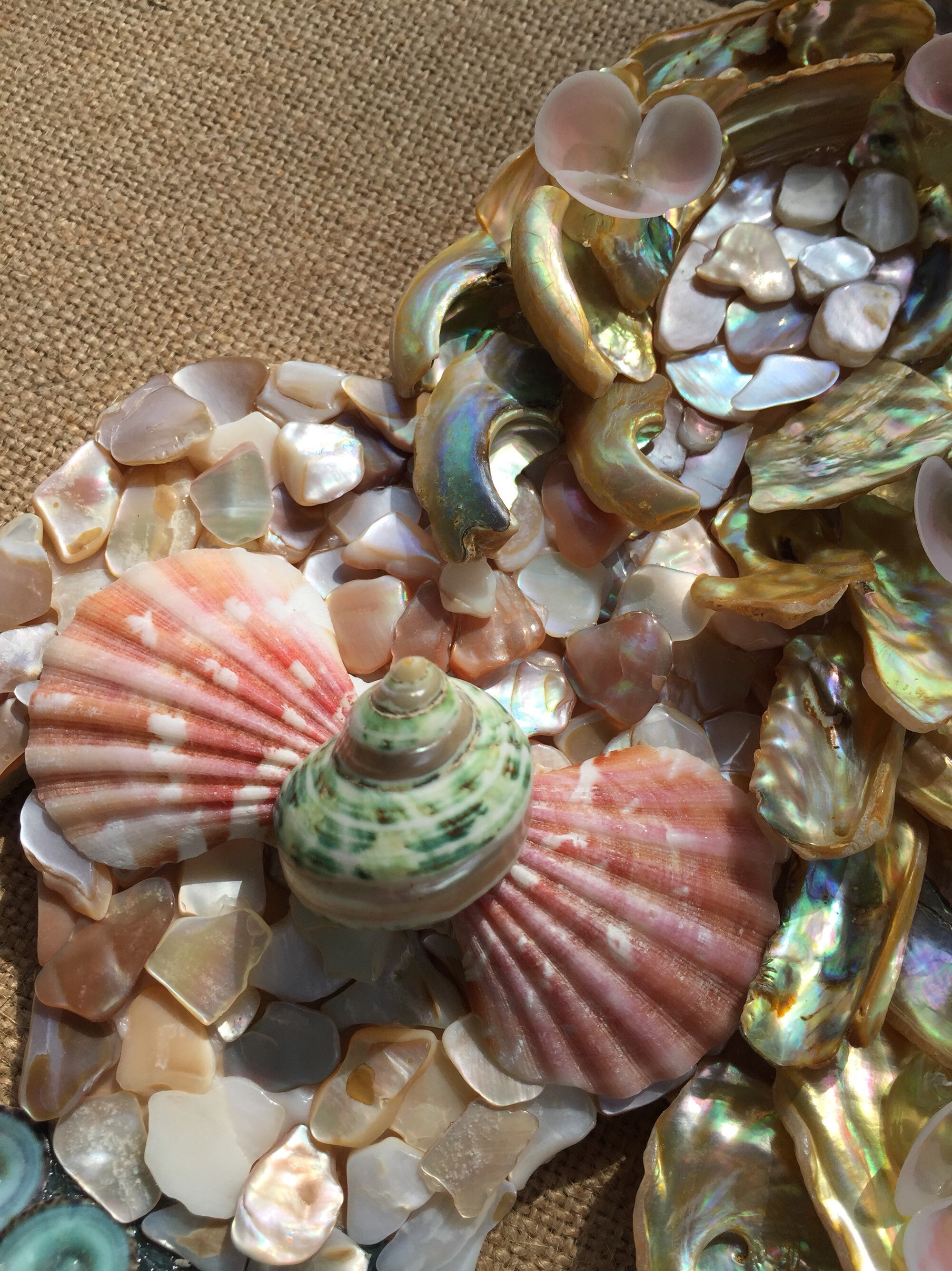 mermaid seashell